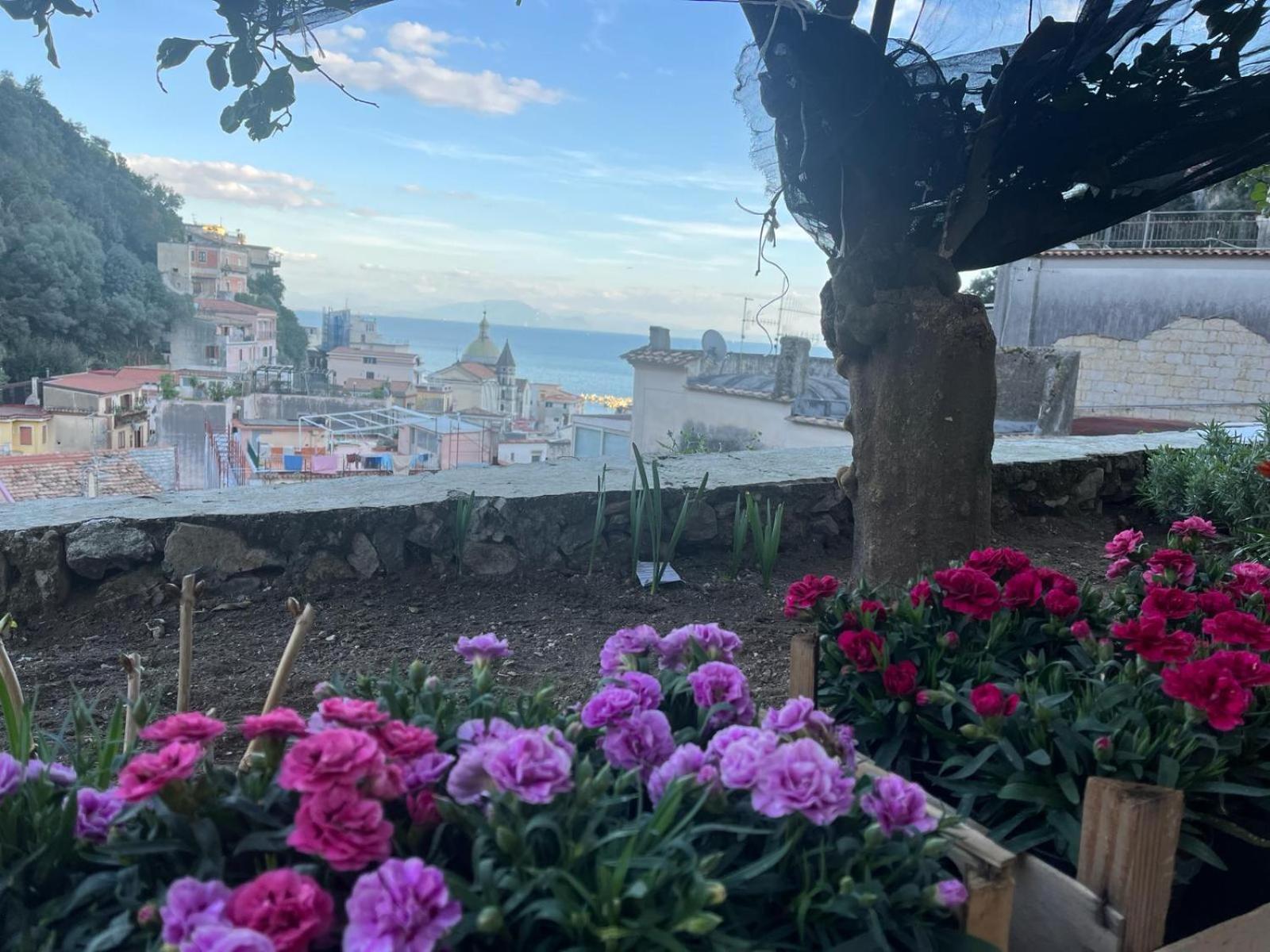 Apartamento Casa Nel Borgo Dei Gatti Cetara Exterior foto